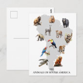 Dieren van Zuid-Amerika Wilde dieren Briefkaart (Voorkant / Achterkant)