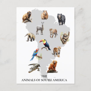 Dieren van Zuid-Amerika Wildlife Briefkaart
