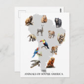 Dieren van Zuid-Amerika Wildlife Briefkaart (Voorkant / Achterkant)