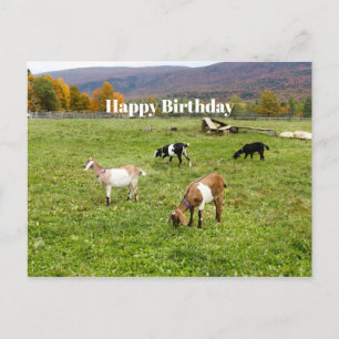 Dieren veresteren Vermont Foto van Birthday Briefkaart