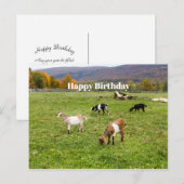 Dieren veresteren Vermont Foto van Birthday Briefkaart (Voorkant / Achterkant)