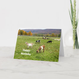 Dieren veresteren Vermont Foto van Birthday Kaart