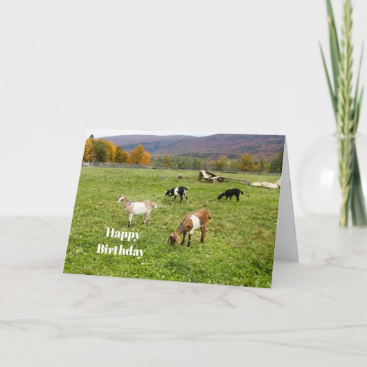 Dieren veresteren Vermont Foto van Birthday Kaart (Voorkant)