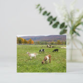 Dieren verteren foto briefkaart (Staand voorkant)