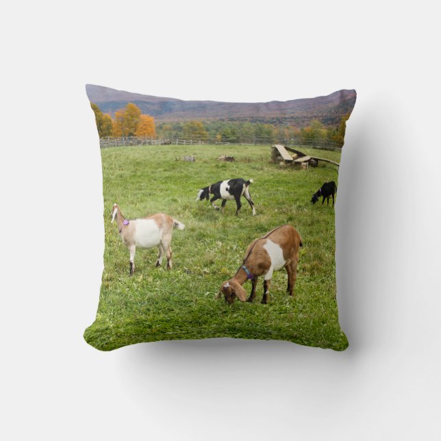 Dieren verteren foto kussen (Voorkant)