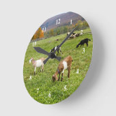 Dieren verteren foto ronde klok (Hoek)