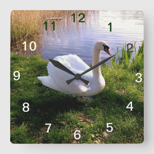 Dieren Vierkante Klok (Voorkant)