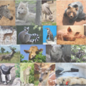 Dieren Vinyl Sticker (Voorkant)