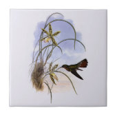  dieren, vogelbeestjes met orchidee tegeltje (Voorkant)