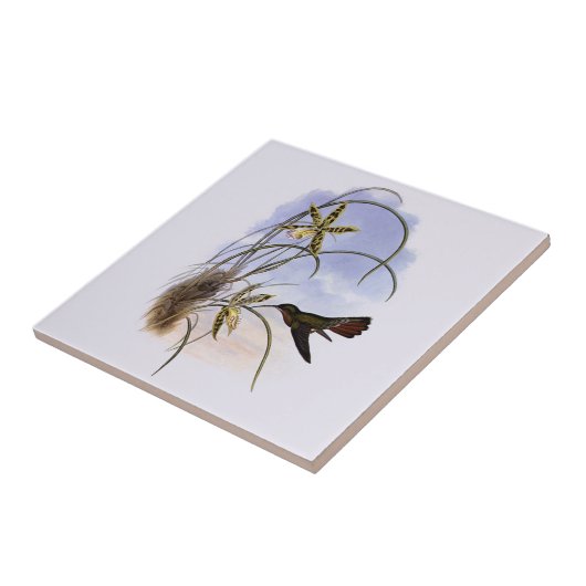  dieren, vogelbeestjes met orchidee tegeltje (Zijkant)