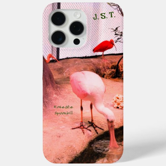 Dieren Vogels Roseate Lepelaar iPhone / iPad hoesj Case-Mate iPhone Case (Achterkant)