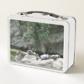 dieren, water, schildpadden, stenen, bloemen, natu (Achterkant)