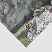 dieren, water, schildpadden, stenen, bloemen, natu tissuepapier (Detail)