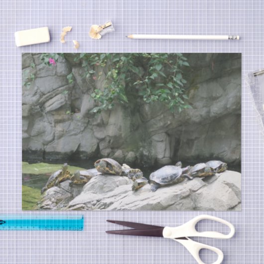 dieren, water, schildpadden, stenen, bloemen, natu tissuepapier (Craft)