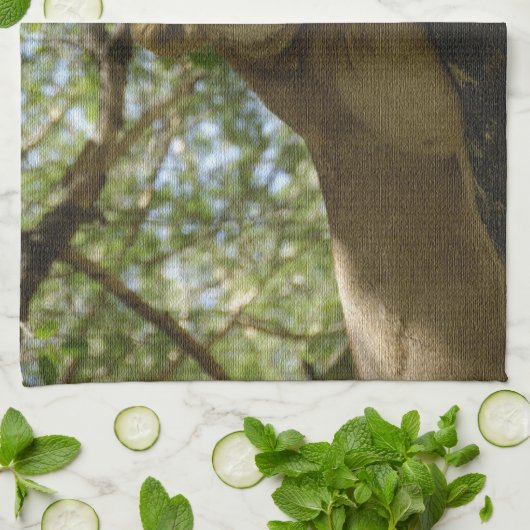 Dieren > Wilde katten > Leeuwen Theedoek (Gevouwen)