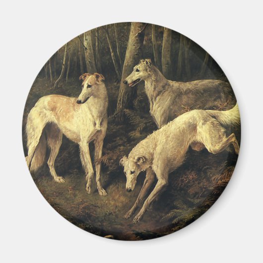 dieren, windhonden in het bos magneet (Voorkant)