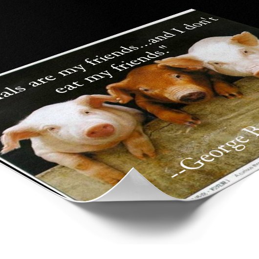 dieren zijn mijn vrienden poster (Hoek)