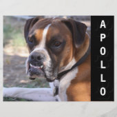 Dierenactoren Comp Kaart (Voorkant)