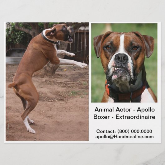 Dierenactoren Comp Kaart (Achterkant)