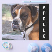 Dierenactoren Comp Kaart (Enkel)