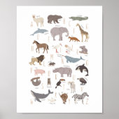 Dierenalfabet Montessori-kinderkamerposter Poster (Voorkant)