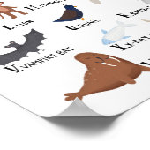 Dierenalfabet poster A-Z kunstprint (Hoek)
