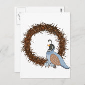 Dierenalfabet Quail Briefkaart (Voorkant / Achterkant)