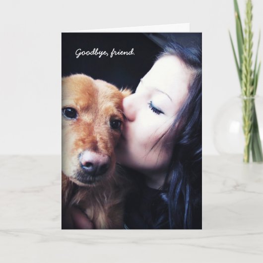 Dierenarts Hartelijk dank voor de regenboogbruggen Bedankkaart (Voorkant)