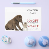 dierenarts kattekattenhuisdierenverzorger flyer (Enkel)