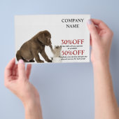 dierenarts kattekattenhuisdierenverzorger flyer (Hand)