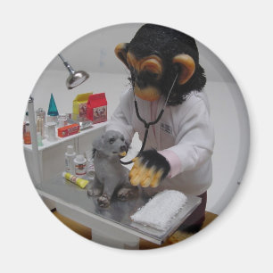 dierenarts magneet