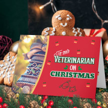 Dierenarts met Kerstmis Poot Katten- en Hondenvaka