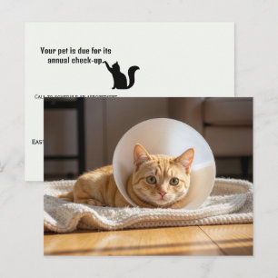 Dierenarts Sinaasappel Kat Draagt een Kegel van Sc Briefkaart