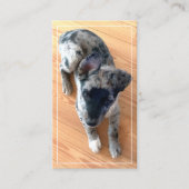 Dierenartsen Voeg uw verticale foto toe Visitekaartje (Voorkant)