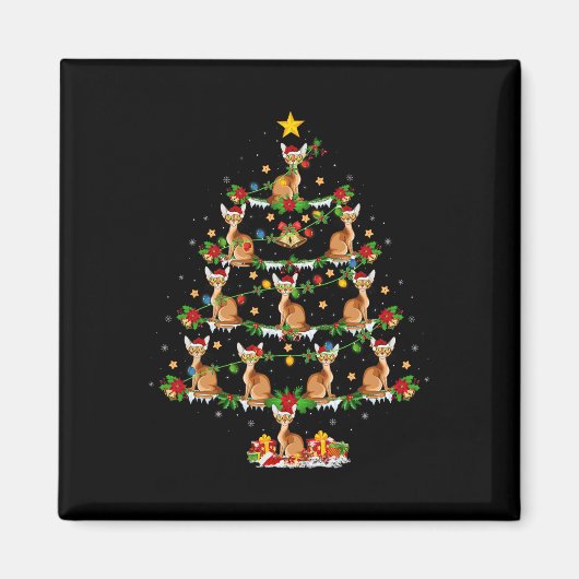 Dierenartsfeest Xmas Lights Santa A Magneet (Voorkant)