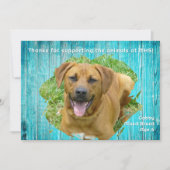 Dierenasiel Dank U Foto Sjabloon Houten Kaart (Voorkant)