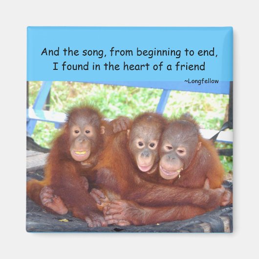 Dierenbaby's Vriendschap 3 is geen kruid Magneet (Voorkant)