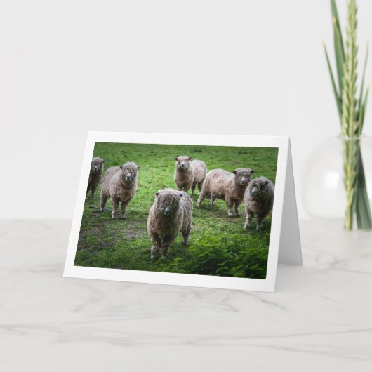 Dierenbegroetingskaart, blanco binnenin. kaart (Voorkant)