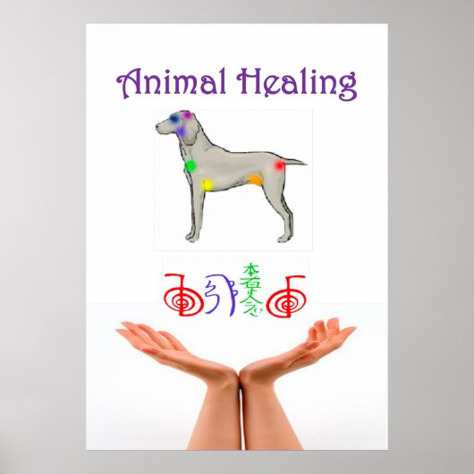 Dierenbescherming Poster (Voorkant)