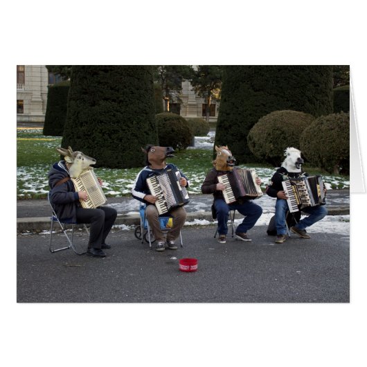 Dierenconcert (Voorkant Horizontaal)