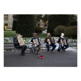 Dierenconcert