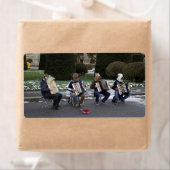 Dierenconcert Etiket (Insitu)