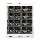 Dierenconcert Etiket (Full Sheet)