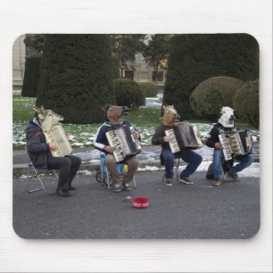 Dierenconcert Muismat