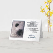 "DIERENDECREET" Kaarten (Gele Bloem)