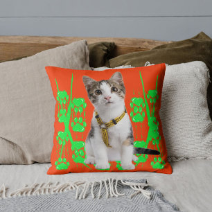 Dierendhuisdier Kat Foto Limoen Patroon Oranje Op Kussen