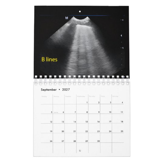Dierenecho Kalendar Kalender (Sep 2027)