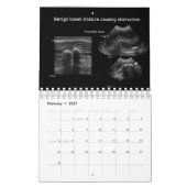 Dierenecho Kalendar Kalender (Feb 2027)