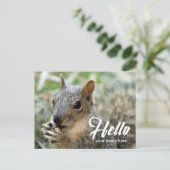 Diereneekhoorn grappig hallo briefkaart (Staand voorkant)
