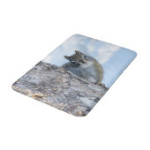 Dierenfotografie, nieuwsgierige eekhoorn badmat (Gekanteld)